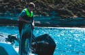 Vesta Salvare Neopren Barbati