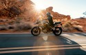 Triumph TIGER 1200 GT PRO