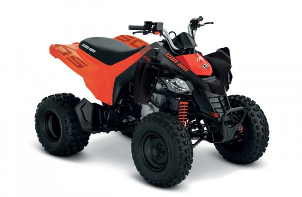 Can-Am DS 250 STD MY2023