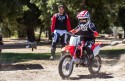 Honda CRF110F MY2023