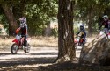 Honda CRF110F MY2023