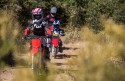 Honda CRF110F MY2023