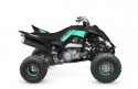 Yamaha Raptor YFM700R SE