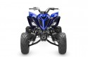 Yamaha Raptor YFM700R