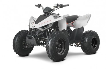 Linhai 110 EFI 2X4