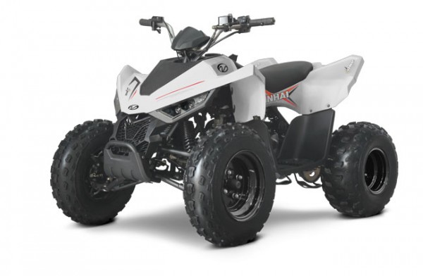Linhai 110 EFI 2X4
