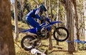 Yamaha WR450F