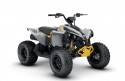 Can-Am Renegade 110 EFI