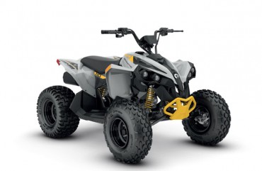 Can-Am Renegade 110 EFI