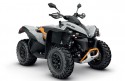 CAN-AM RENEGADE 650 XXC T ABS