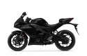 Yamaha R3