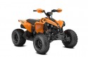 Can-Am Renegade 110 EFI XXC