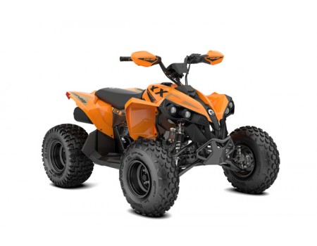 Can-Am Renegade 110 ...