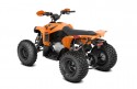 Can-Am Renegade 110 EFI XXC
