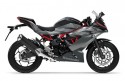 Kawasaki Ninja 125 ABS