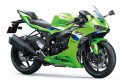 Kawasaki Ninja ZX-6R