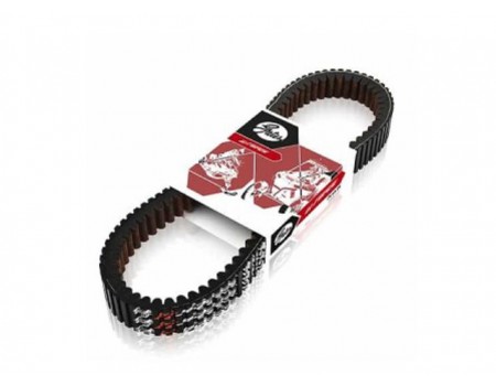 Curea Transmisie cu ...