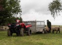 Honda TRX 520 FE2R  Electric Shift 4x4 EPS