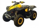 Overfendere Wide ATV Can-Am Renegade
